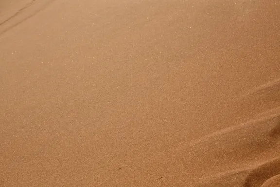 Casino Bingo Millionaire Support